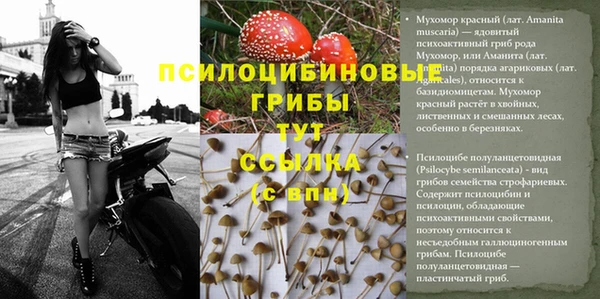 метамфетамин Михайловка