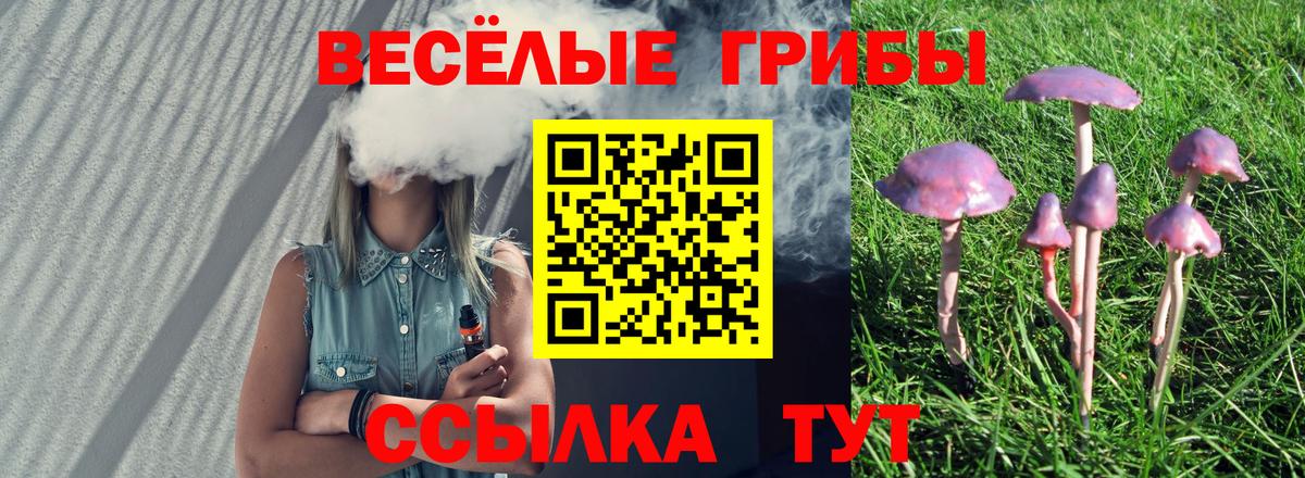 Галлюциногенные грибы Magic Shrooms Бор