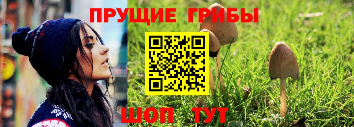 Псилоцибиновые грибы Psilocybe  Галлюциногенные грибы Psilocybine cubensis  Вход с VPN  Бор 