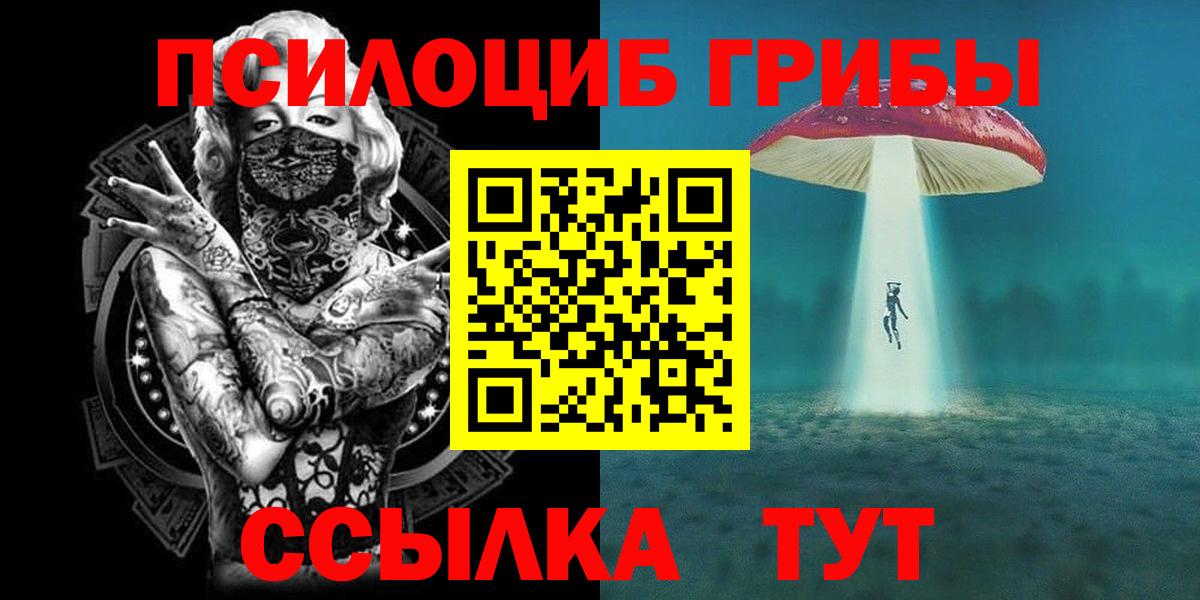 Псилоцибиновые грибы Psilocybe  Галлюциногенные грибы MAGIC MUSHROOMS  Бор 